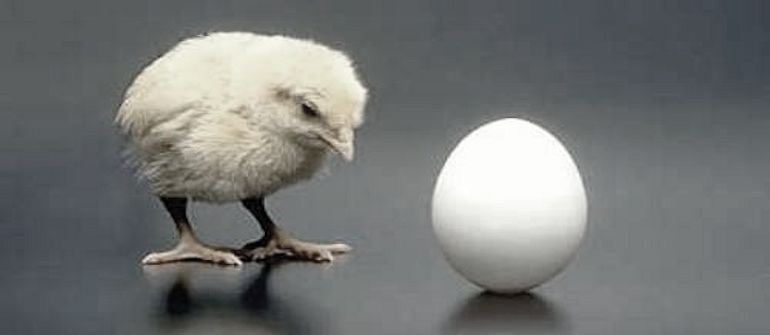 DevOps' Chicken Or Egg Origins