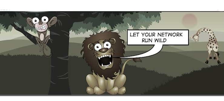 How to un-domesticate your network: DevOps!