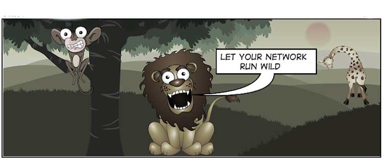 How to un-domesticate your network: DevOps!