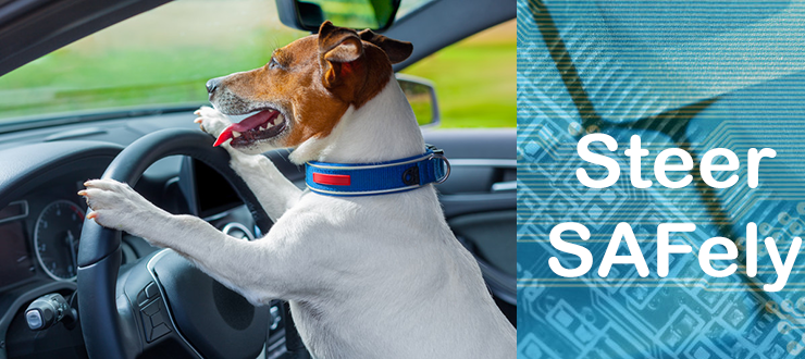 Steer SAFely – So how do you do it?