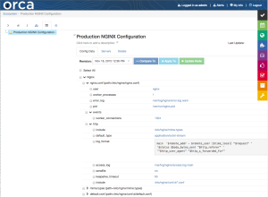 Orca NGINX