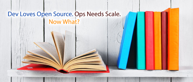 Dev loves Open Source. Ops needs Scale. Now What?