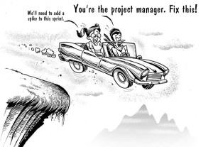 Limits of Project Management