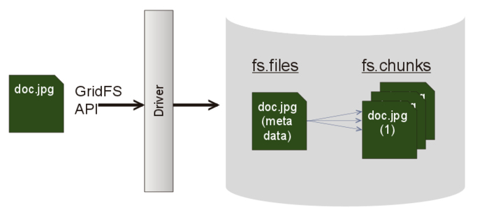 BSON vs JSON