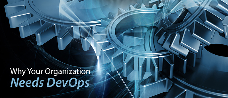 Why Your Organization Needs DevOps