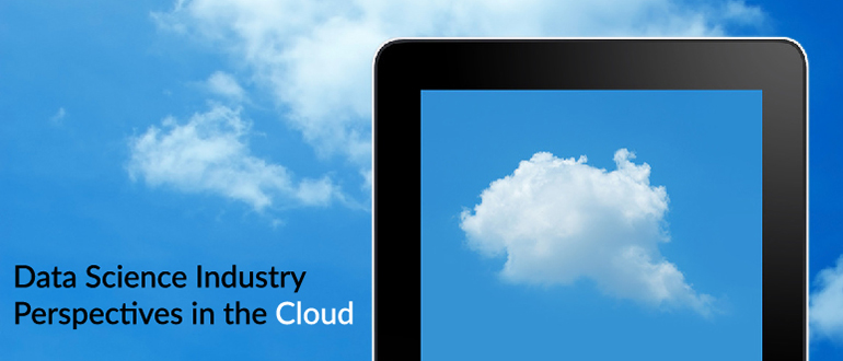 Data Science Industry Perspectives in the Cloud