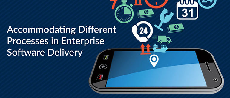 Accommodating Different Processes in Enterprise Software Delivery