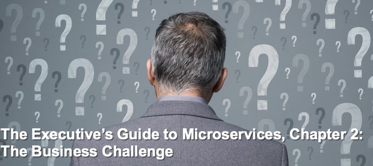 The Executive’s Guide to Microservices Chapter 2: The Business Challenge