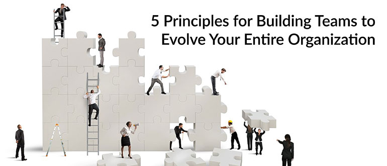 5 Principles for Building Teams to Evolve Your Entire Organization