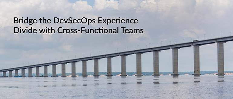 DevSecOps Experience Divide