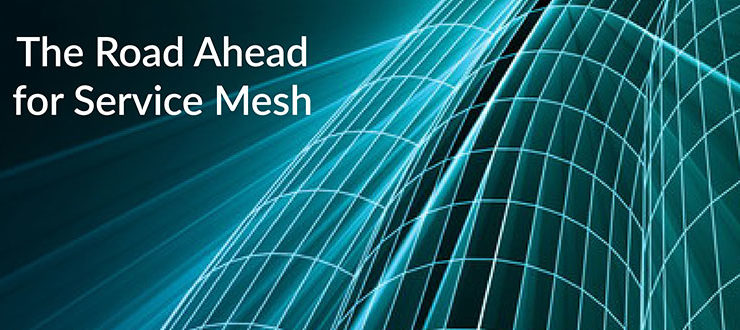 Road Ahead Service Mesh