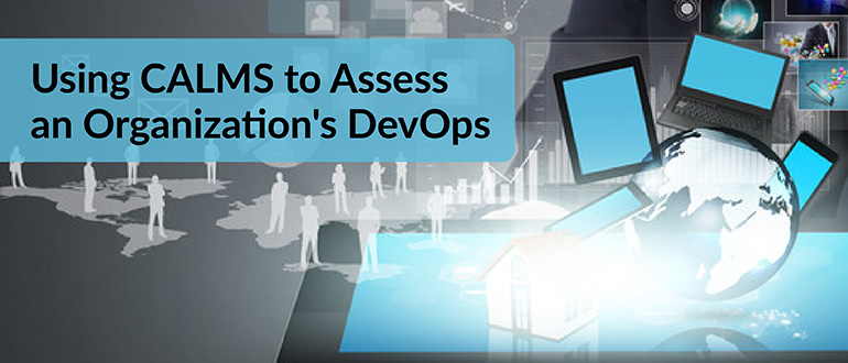 CALMS to Assess DevOps