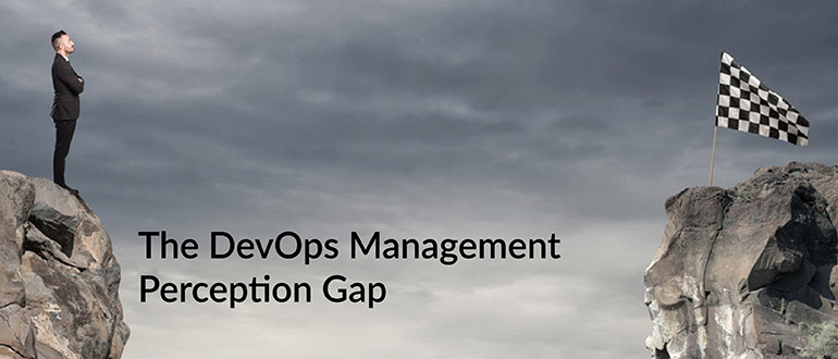 DevOps Management Perception Gap