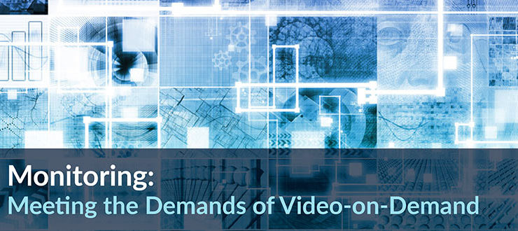 Demands of Video-on-Demand