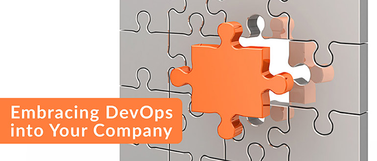 Embracing DevOps into Your Company