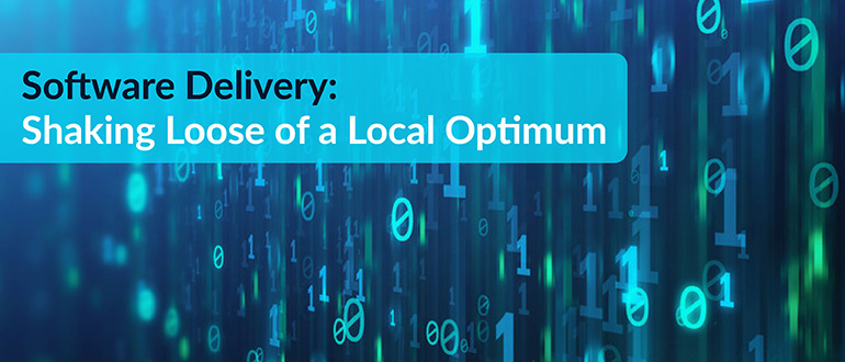 Software Delivery Shaking Local Optimum