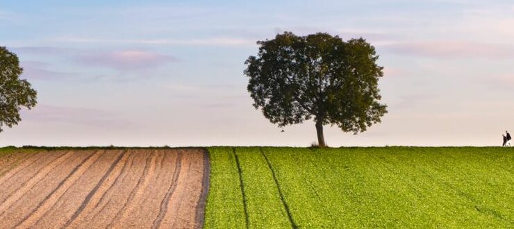 environment green eco-friendly Are you in an IoT greenfield, or an IoT brownfield?