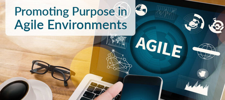 Promoting Purpose in Agile Environments