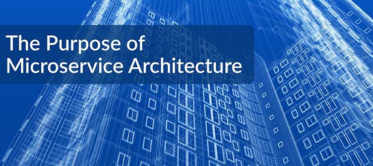 The Purpose of Microservice Architecture