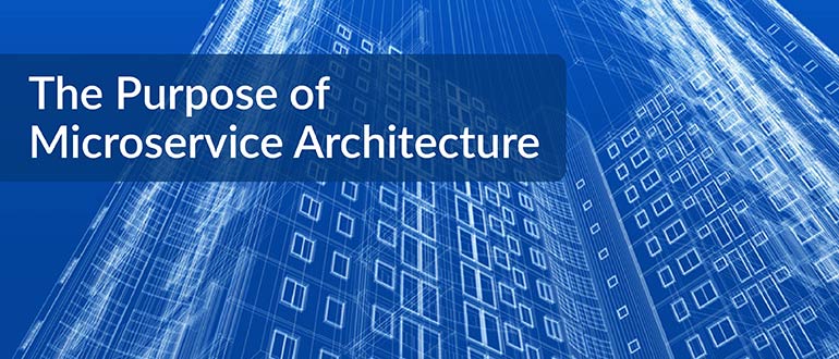 The Purpose of Microservice Architecture