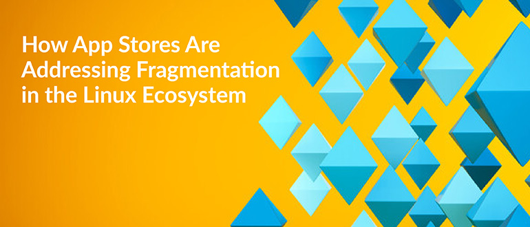 Addressing Fragmentation in the Linux Ecosystem