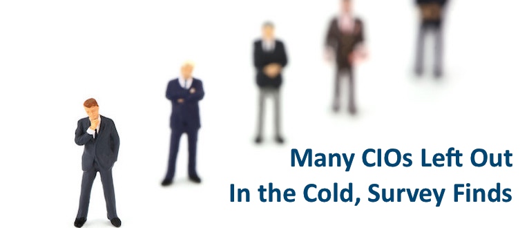 CIOs survey