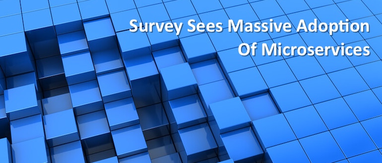 survey microservices
