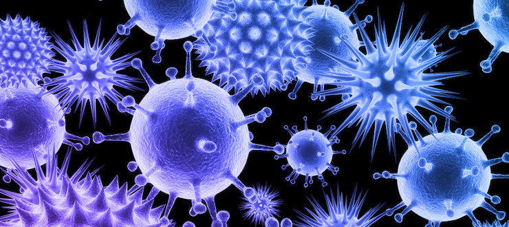 coronavirus