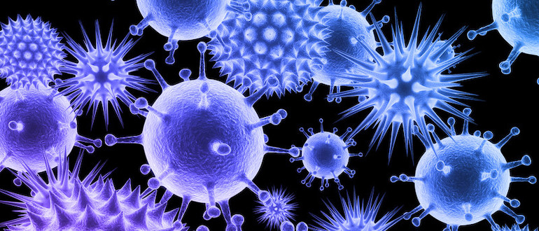 coronavirus