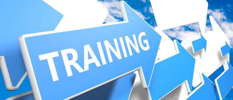training security Enterprise IT teams