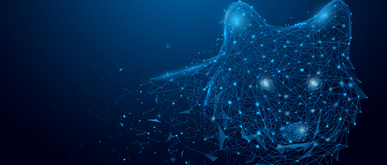 IoT and OT devices