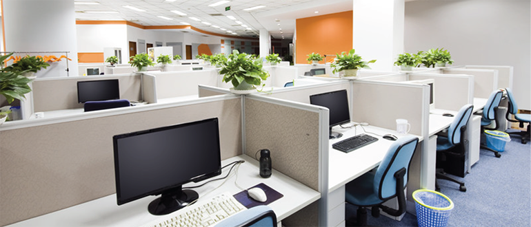 Startup for Startup: How actions define company culture