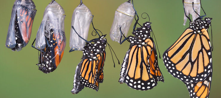 digital transformation